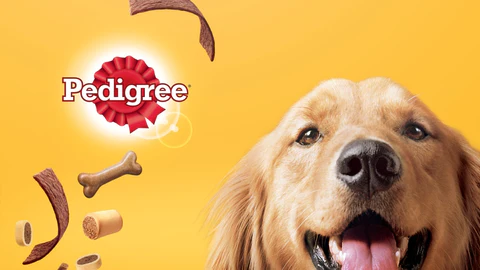 Pedigree petfoods