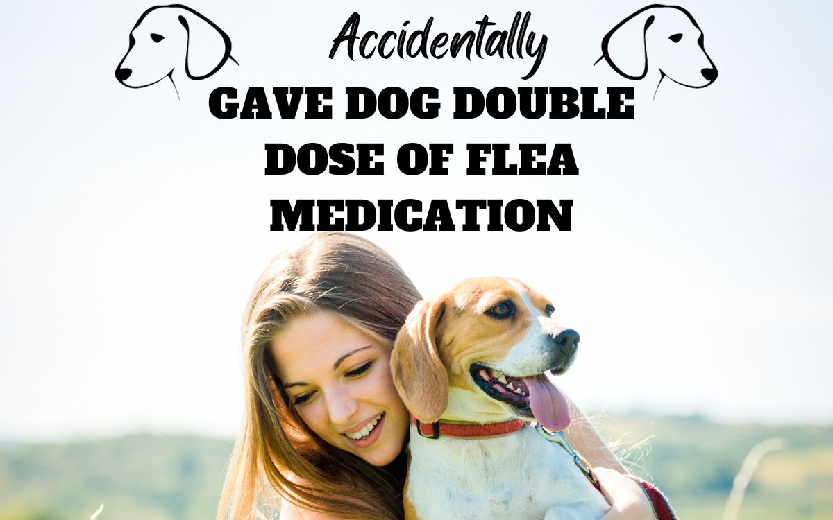 Accidentally gave dog double dose of flea medication