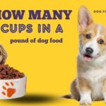 How many cups in a pound of dog food