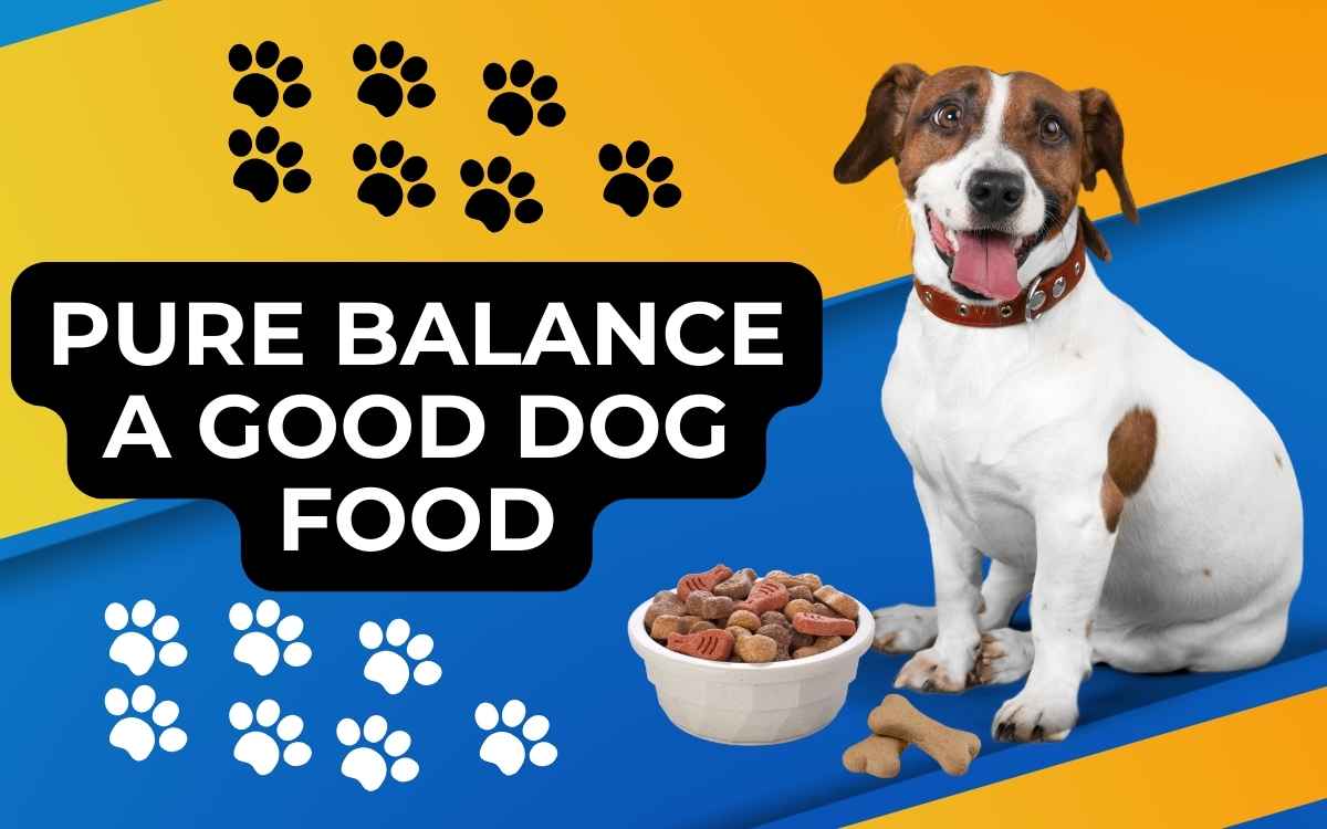 Is Pure Balance a Good Dog Food