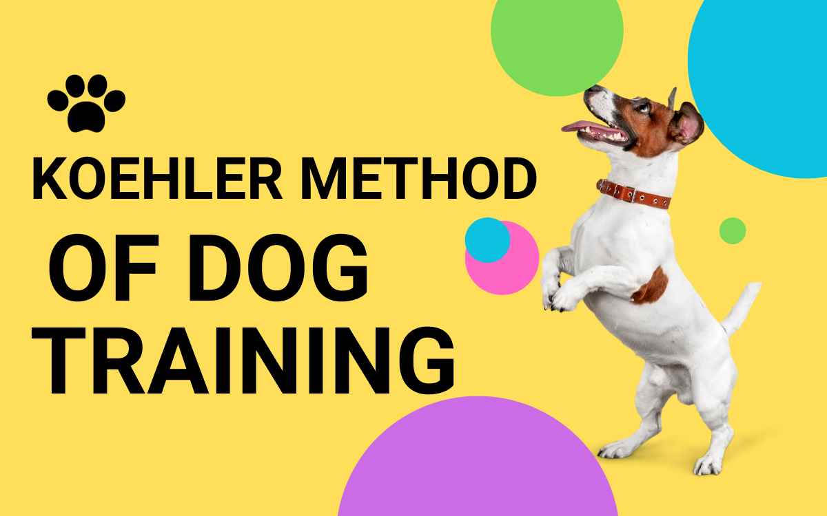 What is the Koehler method of dog training