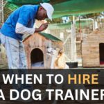 When to hire a dog trainer