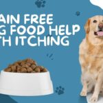 Will grain free dog food help with itching