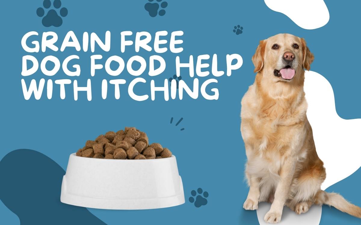 Will grain free dog food help with itching